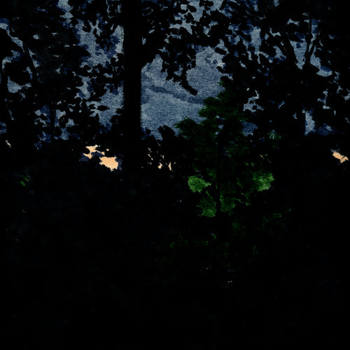 Original Art: Trees at Night