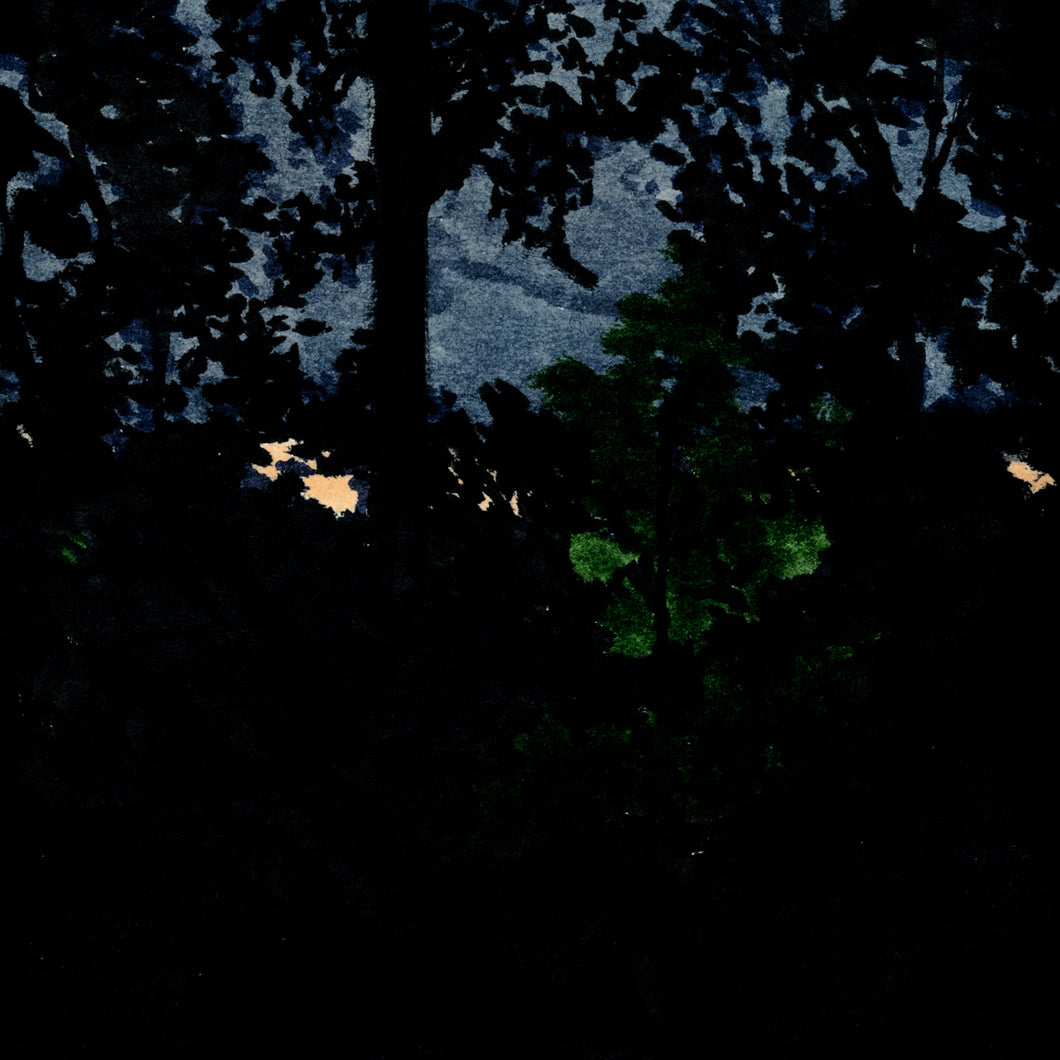 Original Art: Trees at Night